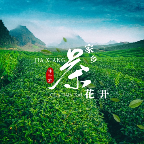 家乡茶花开 - Single - 徐千雅-无损音乐下载