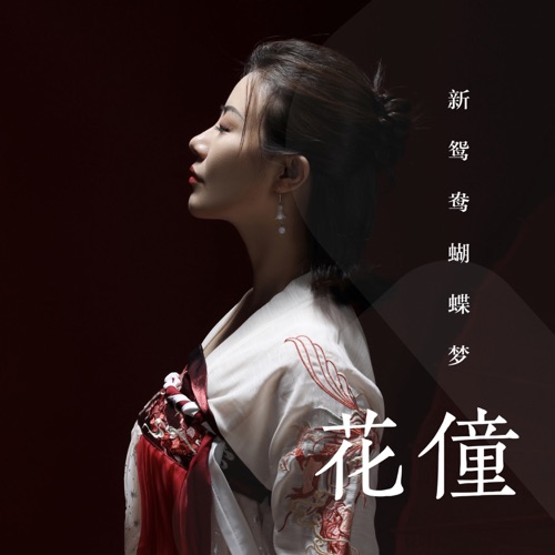 新鸳鸯蝴蝶梦 - Single - 花僮-无损音乐下载