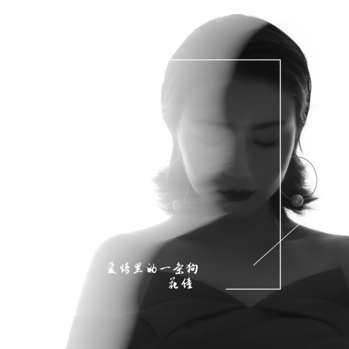 爱情里的一条狗 - Single - 花僮-无损音乐下载