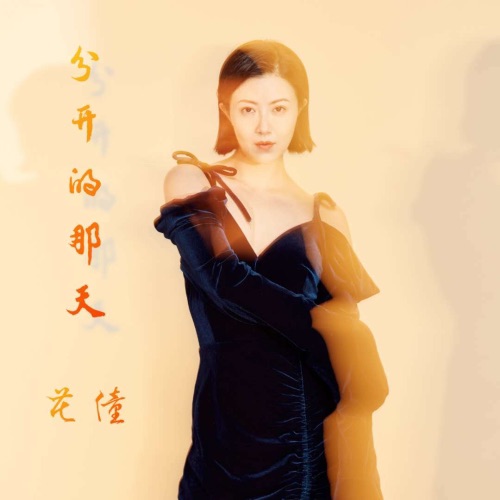 分开的那天 - Single - 花僮-无损音乐下载
