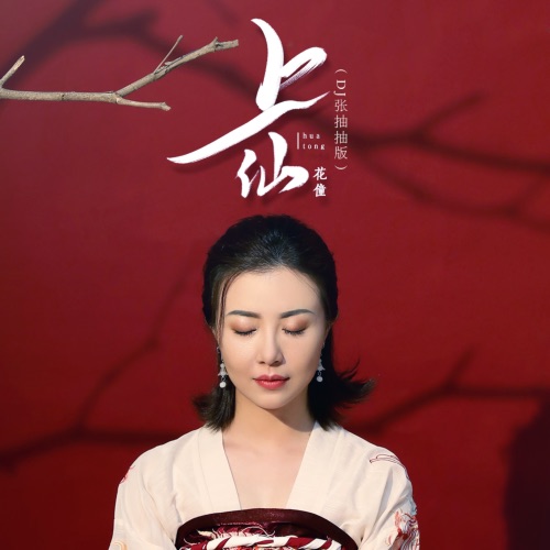 上仙 (DJ张抽抽版) - Single - 花僮-无损音乐下载