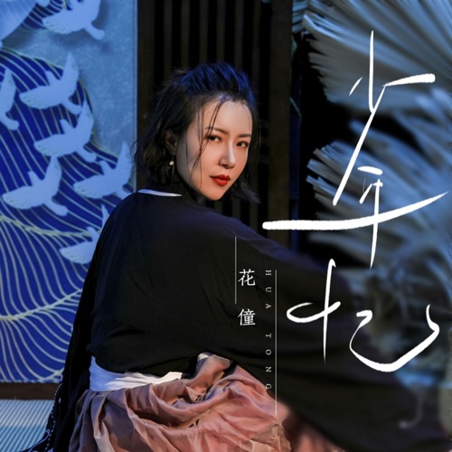 少年忆 - Single - 花僮-无损音乐下载