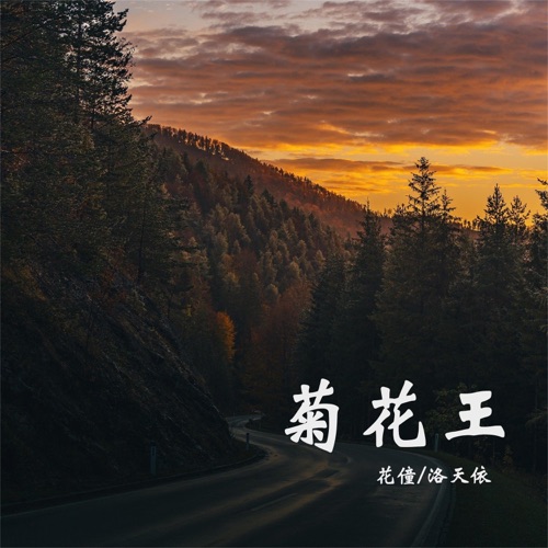 菊花王 - Single - 洛天依 & 花僮-无损音乐下载
