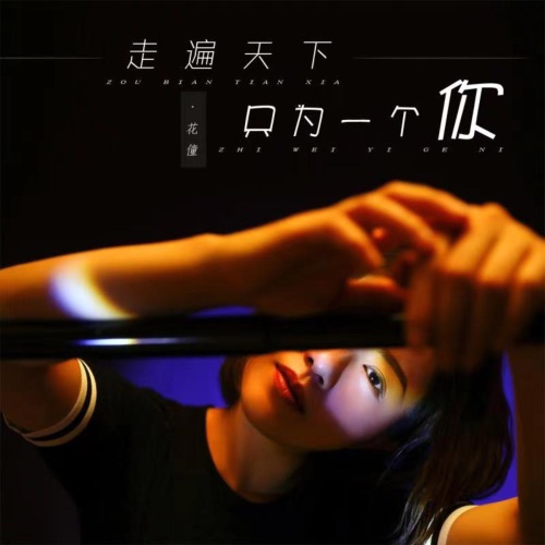 走遍天下只为一个你 – Single – 花僮-无损音乐下载