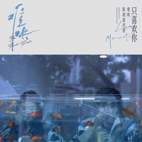 电视剧《难哄》影视原声带·只喜欢你Love Moments - 群星-无损音乐下载