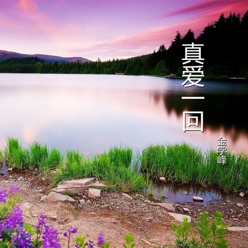 真爱一回 - Single - 金学峰-无损音乐下载