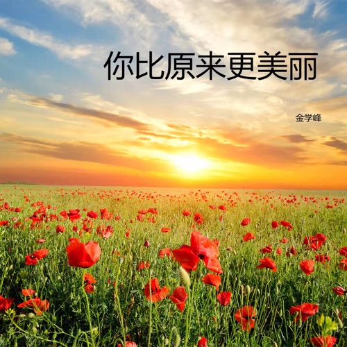 你比原来更美丽 - Single - 金学峰-无损音乐下载