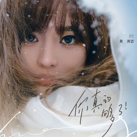 你真的够了 - 黄霄雲-无损音乐下载