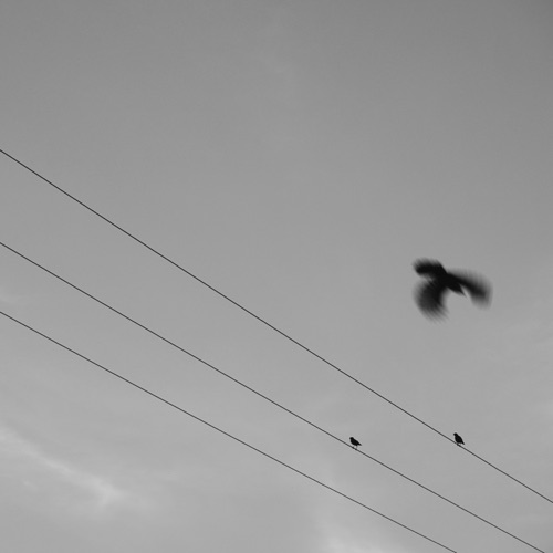 What is Real? - Single - 杨彤-无损音乐下载