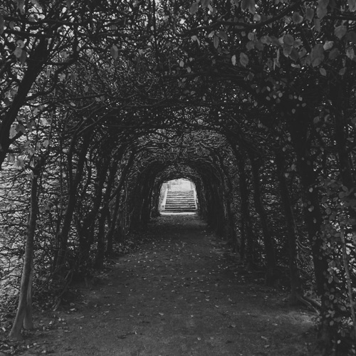 Fall Apart - Single - 杨彤-无损音乐下载