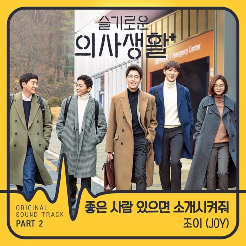 HOSPITAL PLAYLIST, Pt. 2 (Original Television Soundtrack) - Single - JOY-无损音乐下载