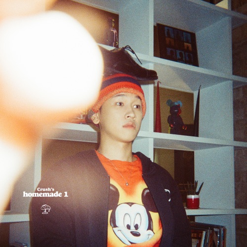 homemade 1 - Single - Crush & JOY-无损音乐下载