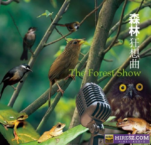 吴金黛徐清原《森林狂想曲》(大自然音乐)风潮WAV分轨-无损音乐下载