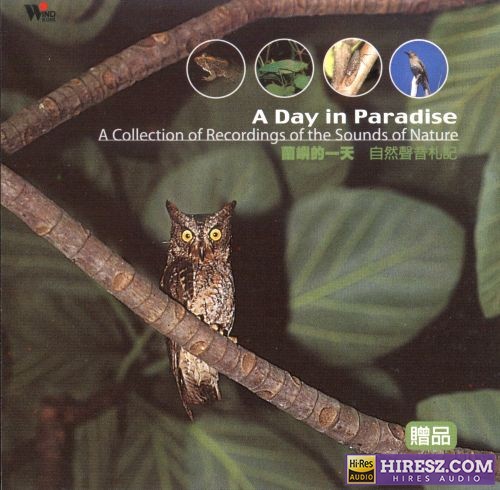 自然音乐-兰屿的一天.-.自然声音札记WAV-无损音乐下载