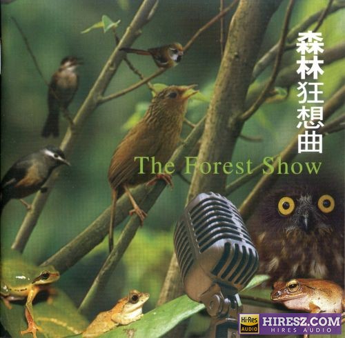 【自然音乐】《森林狂想曲》（附：台湾森林自然声音图鉴）2CD[FLAC+CUE/整轨]-无损音乐下载