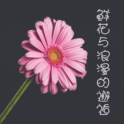 鲜花与浪漫的邂逅 - DJ阿基-无损音乐下载