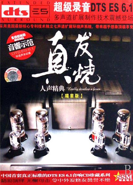 真发烧人声精典 - 群星 [6.1声道]-无损音乐下载