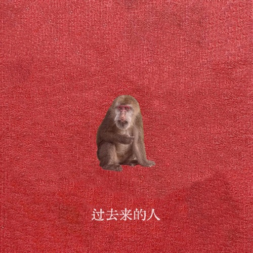 过去来的人 - Single - 刘森-无损音乐下载