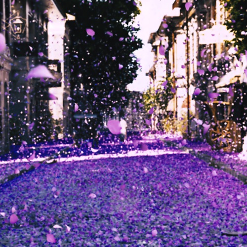 すみれになって - Single - Nasu Asaco-无损音乐下载