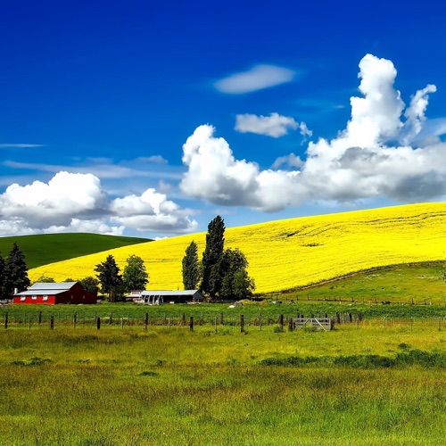 梦想花园 - DJ阿基-无损音乐下载