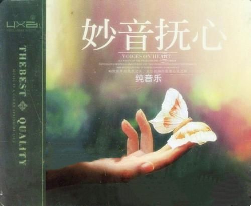妙音怃心-纯音乐 2CD1 – 群星 [6.1声道]-无损音乐下载