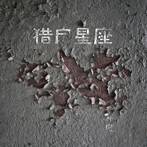 猎户星座 - 朴树 [FLAC 分轨]-无损音乐下载
