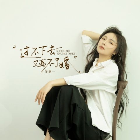 过不下去又离不了婚 – 洋澜一 [FLAC 分轨]-无损音乐下载