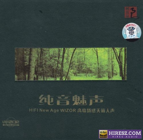 群星《纯音魅声SRS+WIZOR》车载环绕轻音乐[WAV+CUE]-无损音乐下载