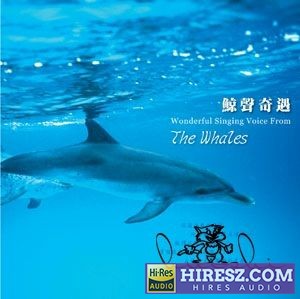 大自然音乐系列《鲸声奇遇》WAV+CUE-无损音乐下载