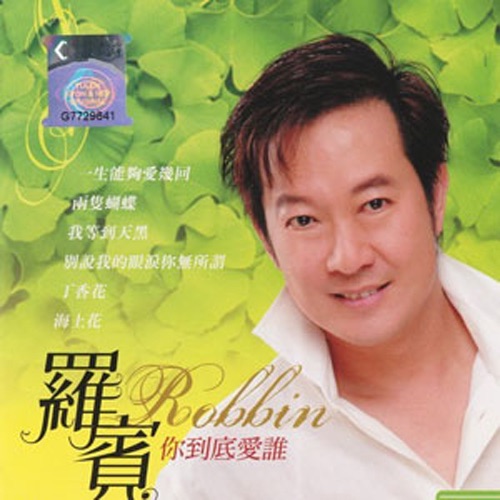 你到底爱谁 – 罗宾-无损音乐下载