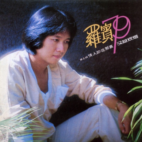 情人你在那里 - 罗宾-无损音乐下载