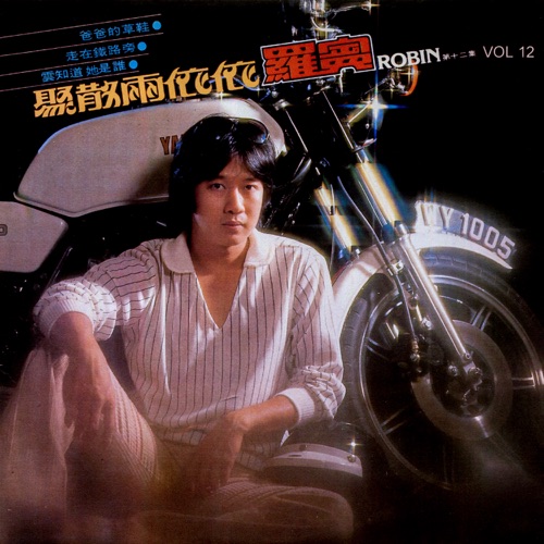 聚散两依依 - 罗宾-无损音乐下载