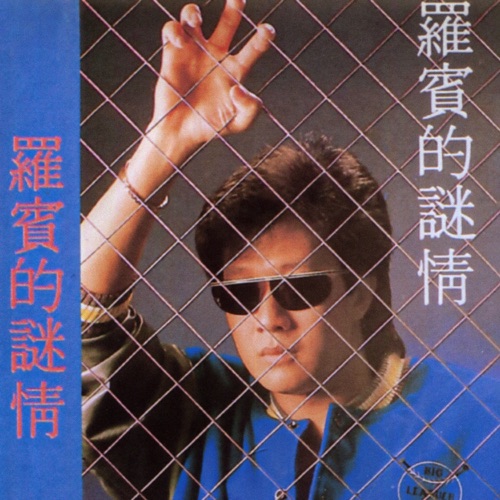 罗宾的迷情 - 罗宾-无损音乐下载