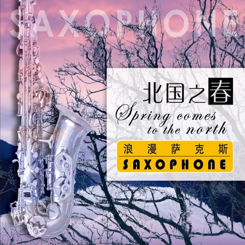 北国之春 (浪漫萨克斯) – 陈林-无损音乐下载