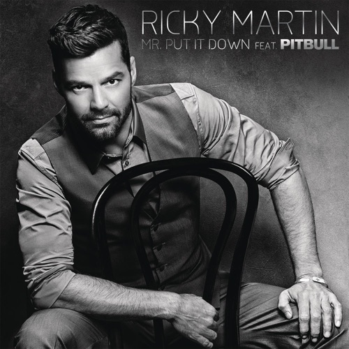 Mr. Put It Down (feat. Pitbull) – Single – Ricky Martin-无损音乐下载