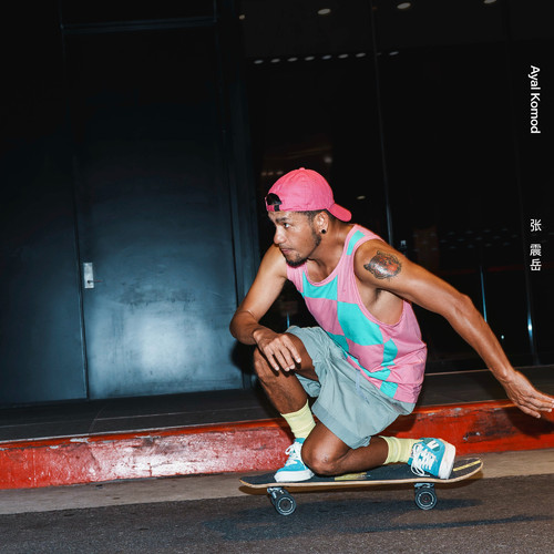 跟着感觉走 - 张震岳 [FLAC 分轨]-无损音乐下载