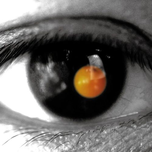 黑色柳丁 - 陶喆 [FLAC 分轨]-无损音乐下载