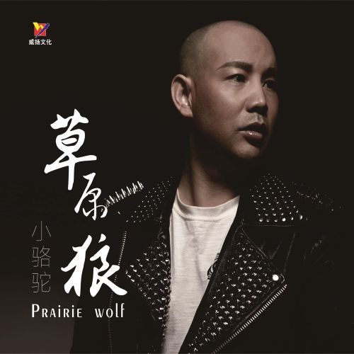 草原狼Ⅰ - 小骆驼 [5.1声道]-无损音乐下载