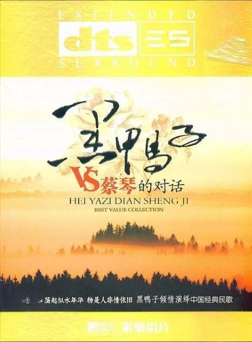 黑鸭子Vs蔡琴的对话 - 群星 [5.1声道]-无损音乐下载