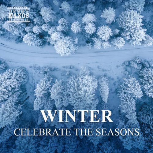 【SONY FLAC】拿索斯Hi-Res音乐特辑 冬之梦境 24BIT44.1KHZ [FLAC 分轨]-无损音乐下载