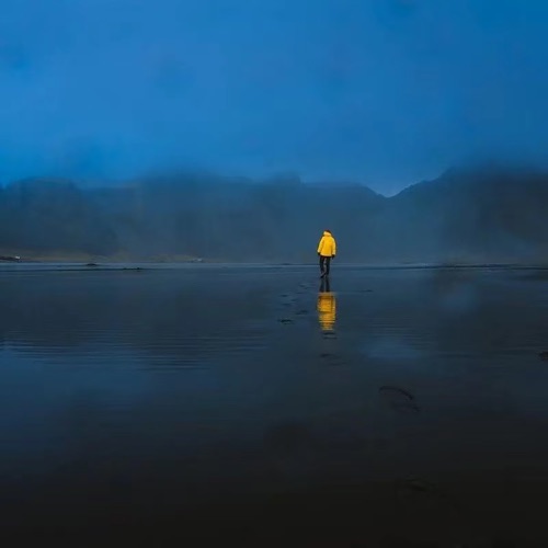 钢琴曲梦中的婚礼 - Single - 轻音乐馆-无损音乐下载