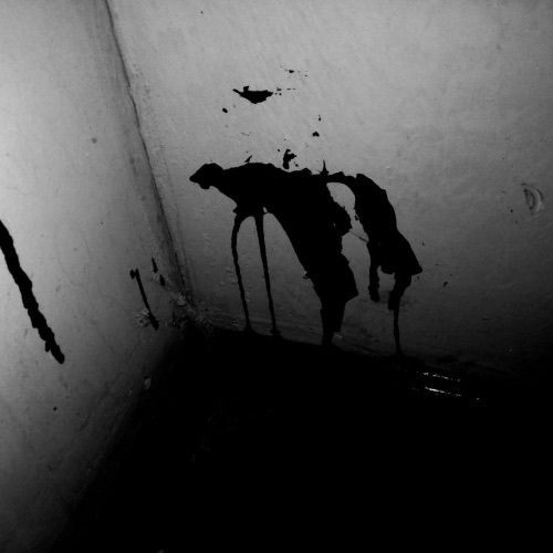 Virus – Single – 何石-无损音乐下载