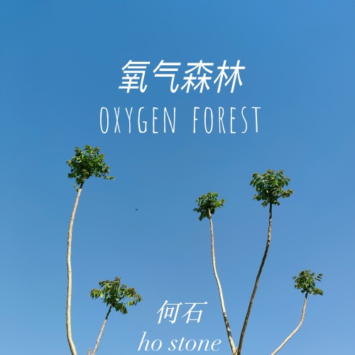 氧气森林 – Single – 何石-无损音乐下载