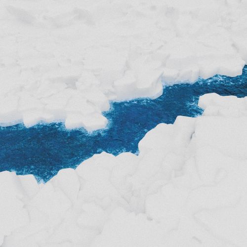 The Organ in Dornum - Friedhelm Flamme-无损音乐下载