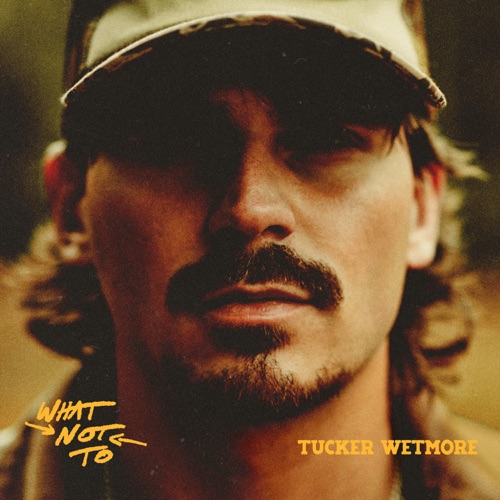 What Not To – Tucker Wetmore-无损音乐下载