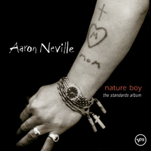 Aaron Neville - The Standards Album - Aaron Neville-无损音乐下载