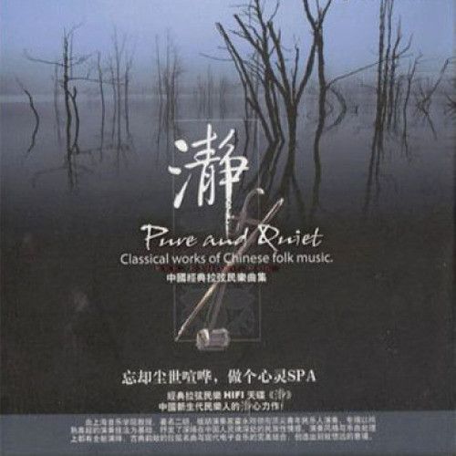 瀞(拉弦民乐) - 霍永刚 [5.1声道]-无损音乐下载