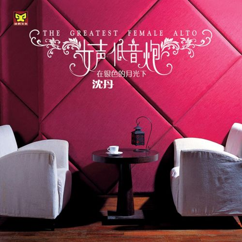 在银色的月光下 - 沈丹 [5.1声道]-无损音乐下载