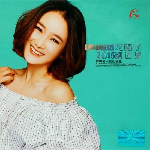 2015精选集 - 龙梅子 [5.1声道]-无损音乐下载