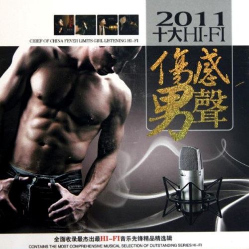 十大HIFI伤感男声B - 选自《男人的寂寞》 [5.1声道]-无损音乐下载